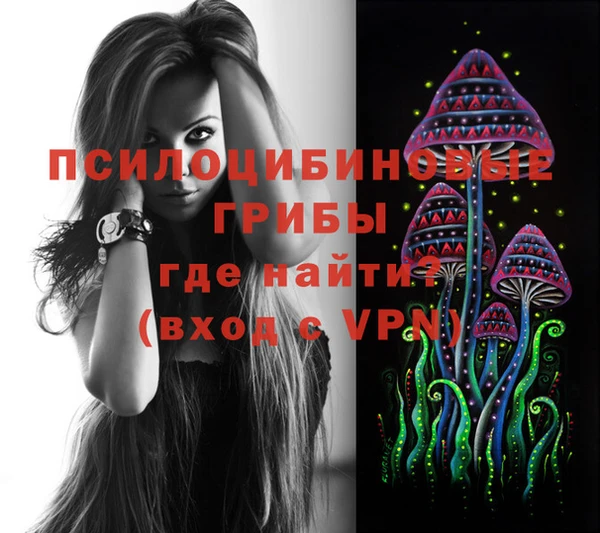 винт Алексеевка
