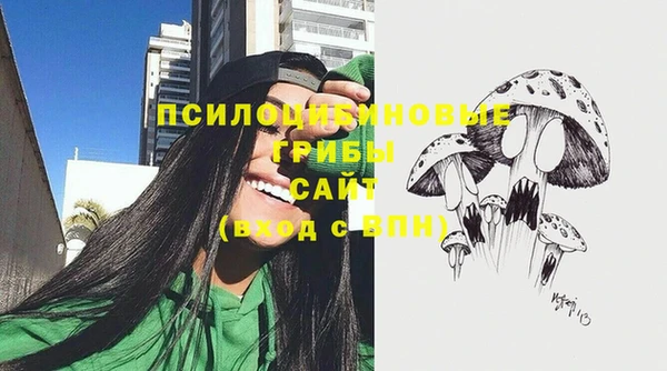 mdpv Няндома