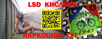 spice Краснознаменск