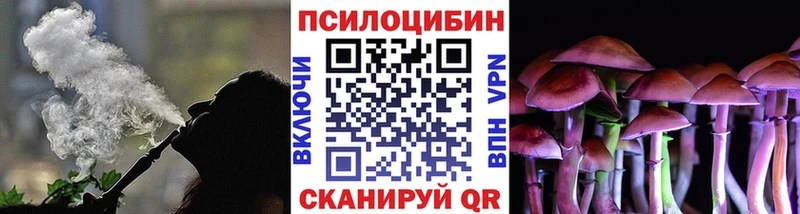 hydra вход  Чистополь  Псилоцибиновые грибы прущие грибы  даркнет сайт 