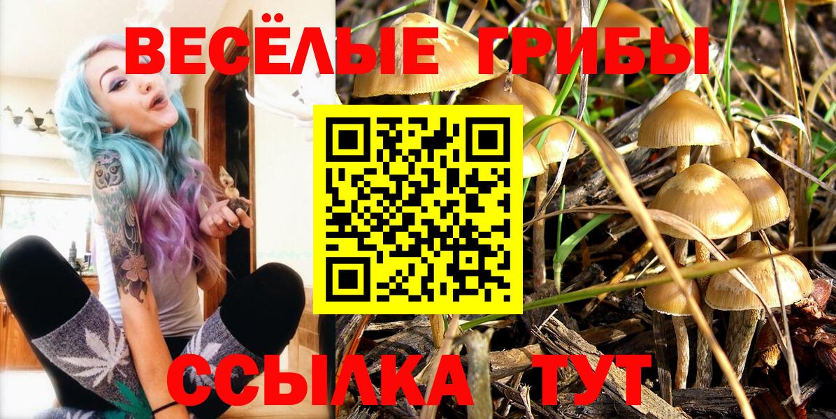 Чистополь  Галлюциногенные грибы ЛСД  Вход с VPN 